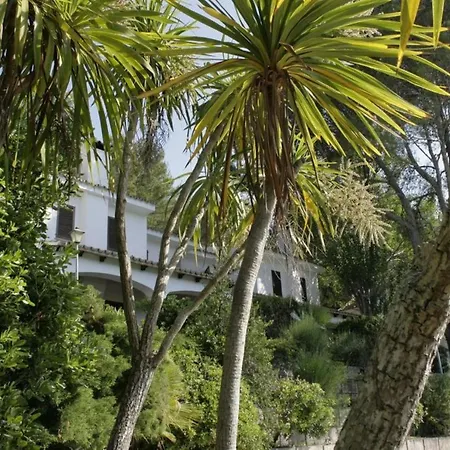 Botana 3 * Cala San Vicente (Mallorca)